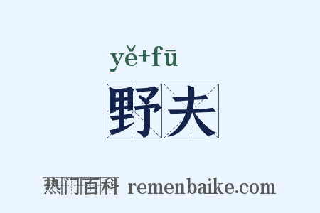 野夫是什么意思的图片